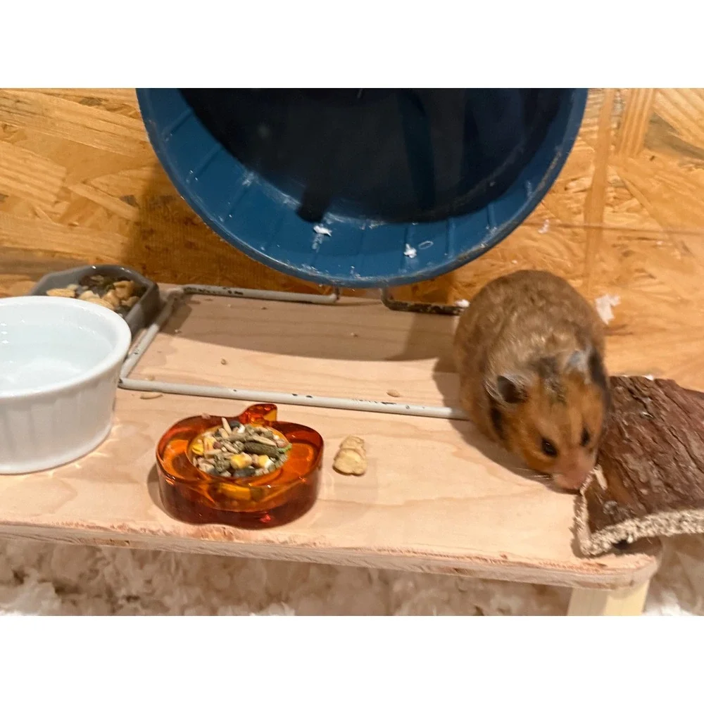 Handmade Wooden Small Animal Platform Elevated Hamster Cage Stand Natural Wood